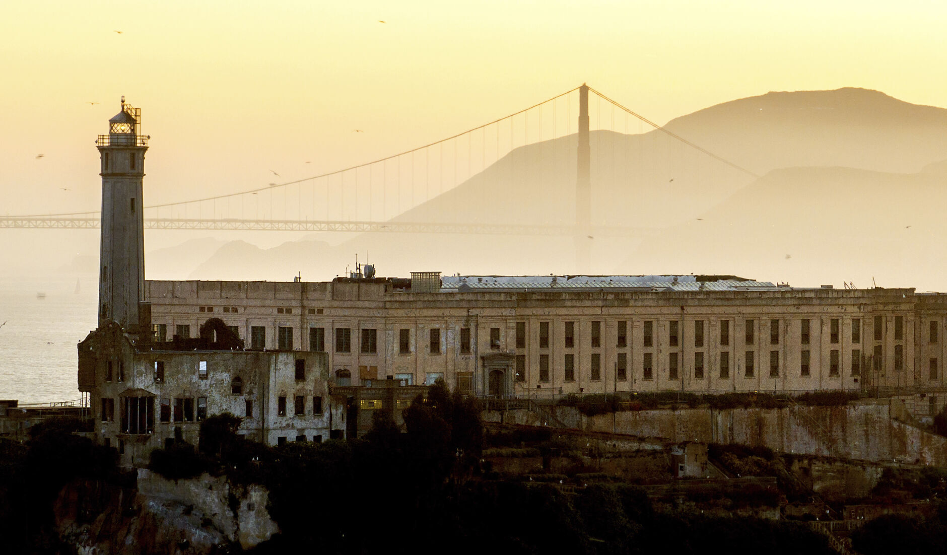 Trump Alcatraz